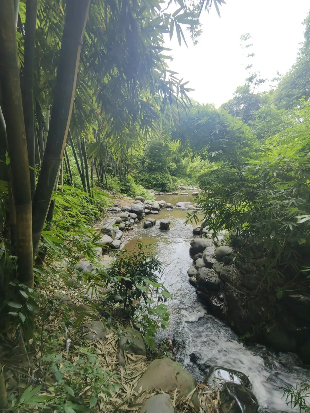 ΢ňDƬO(x)w